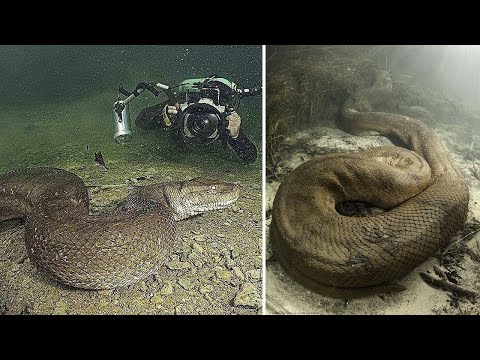 Derin Su Dalgıçları Tarafından Bulunan En Şok Edici 10 Şey