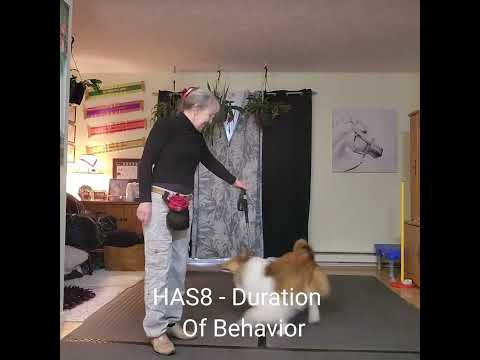 Marlene & Jasper/PFS Harmony Division - Artistry Leg