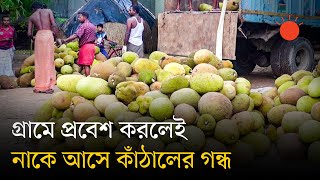 জিআই পণ্য হিসেবে স্বীকৃতি পেয়েছে শ্রীপুরের কাঁঠাল