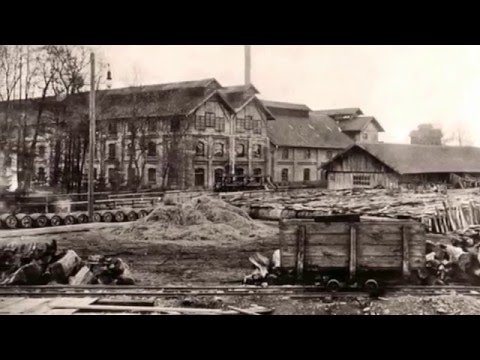 Đurđenovac - Company town