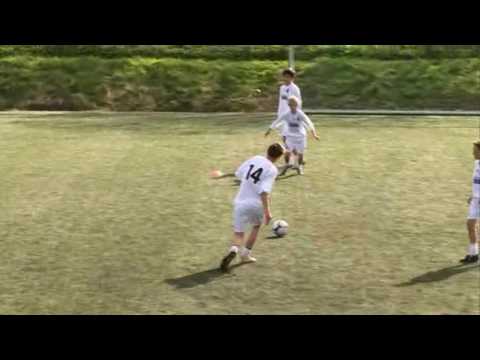 Haldenalliansens pasningsstige