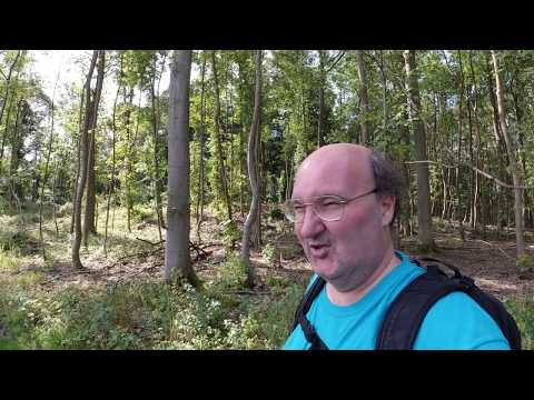 MongoTV_3506 - Danish Vlog - Del 1 - Skovtur i Frederiksdal ONSDAG 21.August 2019