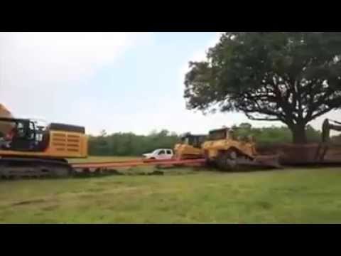 Mal eben einen Baum umpflanzen !