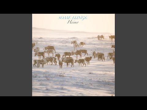 There Is Nothing Left To Do But Let Go