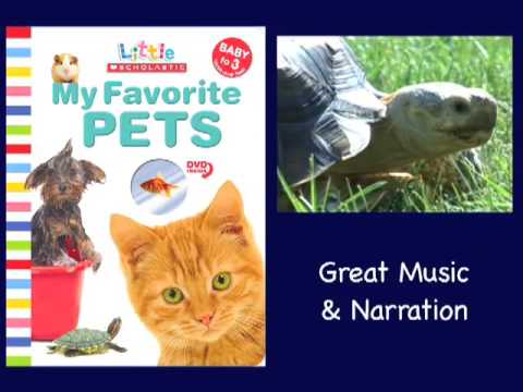 download lagu mp3 mp4 My Favourite Animal, download lagu My Favourite Animal gratis, unduh video klip My Favourite Animal
