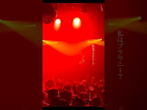 私はブラウニー？　　和ぬか - ブラウニー