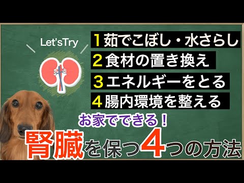 犬の腎不全のための自家製食事療法