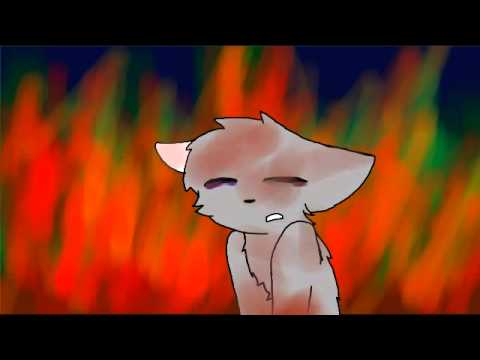 This channel goes to hell .3.