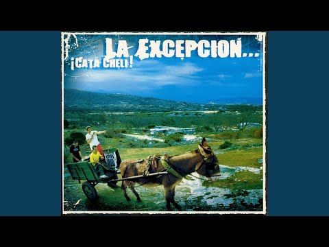 No Se Puede Er Primo