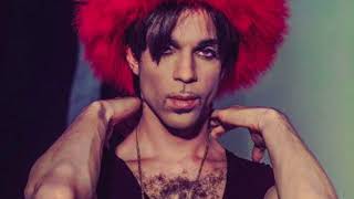 Prince - Peak the Technique/Martial Law