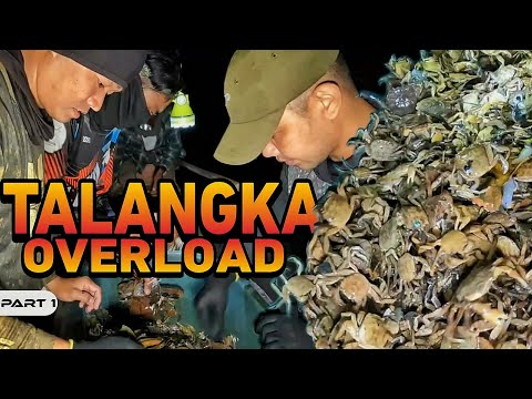 P1 - Tiba sa Talangka - EP2099