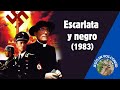 Escarlata Y Negro 1983 Peliculas Basadoenhechosreales Peliculascristianas Catolicos