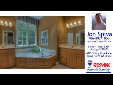 Home For Sale - 4312 Spring Cove Lane, Young Harris, GA