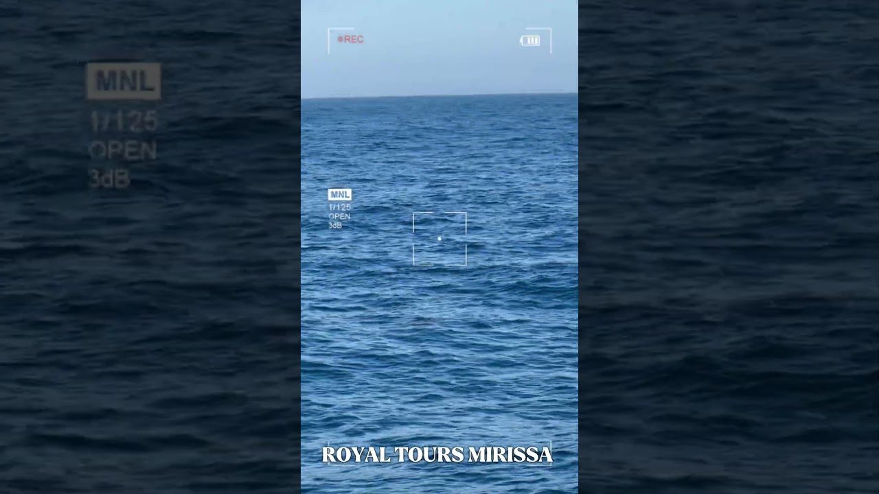 YouTube Short thumbnail