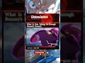 Was the Previous User of Bonney's Fruit Nika’s Comrade?