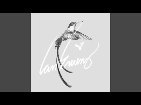 Video thumbnail for Reflections