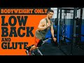 5 Easy Bodyweight Low Back and Glute Exercises