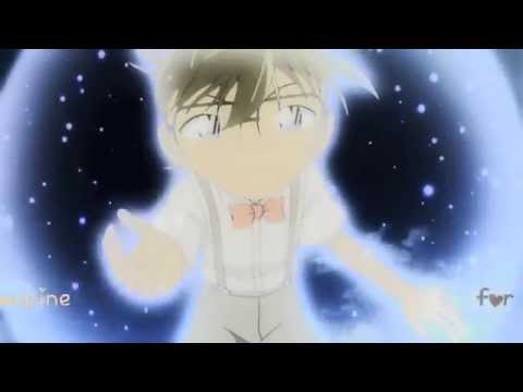 ▶DC 【C A T S  O N  T R E E S】