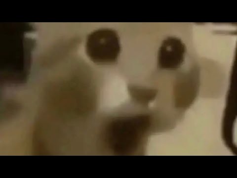 UFC 1: Raheem Scammer vs Eren Titan Form