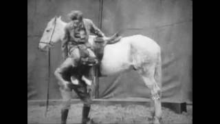 FIRE THE COOK (aka The Dippy Daughter) (1918) - Toto