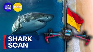 Shark patrol drones to watch NSW beaches year‑round | 9 News Australia