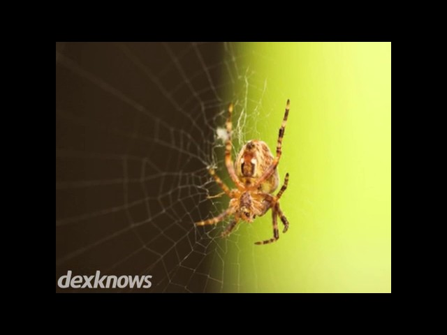 Aerex Pest Control Services - Rolling Meadows, IL