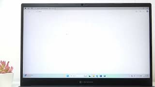 TOSHIBA Dynabook Tecra - Which App Store to Use | Installing Apps Made Easy