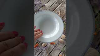 OPAL talíř hluboký 23 cm, šedá krajka, Thun 1794