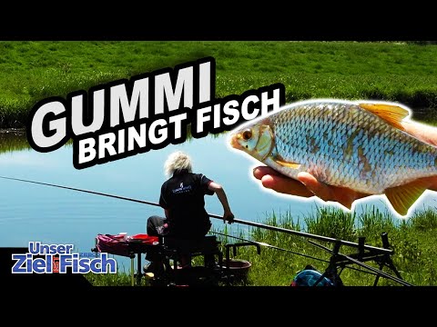 FISCH auf SPUR BRINGEN - STIPPEN in der STRÖMUNG - Angelschule mit JÖRG OVENS - Unser Ziel ist Fisch