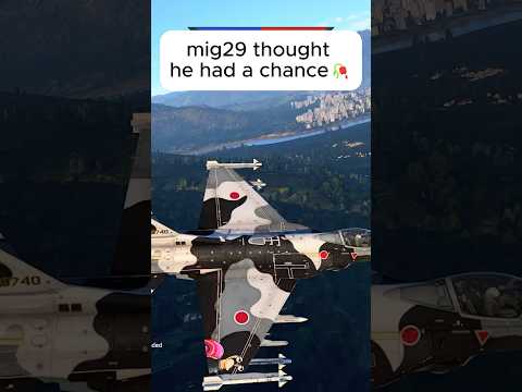 Die MiG-29 hat es wirklich versucht.