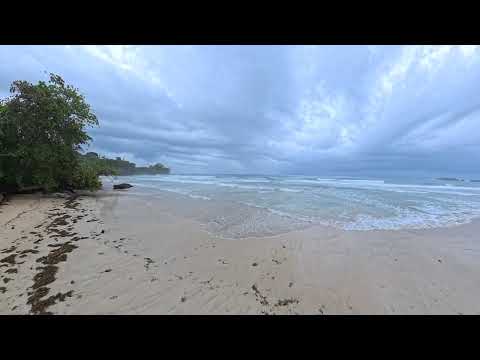 Red Frog Beach Bocas Del Toro Panama