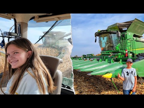 10 and 13 Year Old's Finish Harvest ON THEIR OWN!