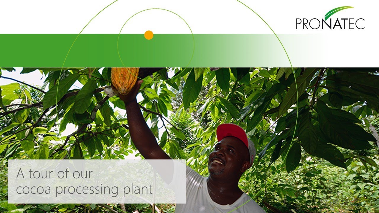 PRONATEC INSiGHT - A Tour through our cocoa production