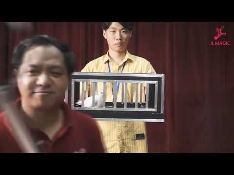 Saturn Magic -Dove Catch by JL Magic - Trick