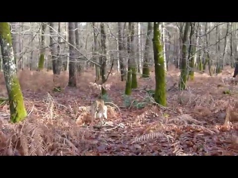 She's always Crazy !