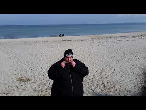 Shanty anne See. Wette eingelöst.