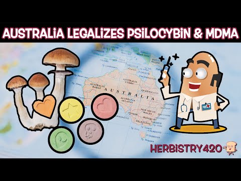 Australia Legalizes Psilocybin And MDMA Prescriptions | Herbistry420