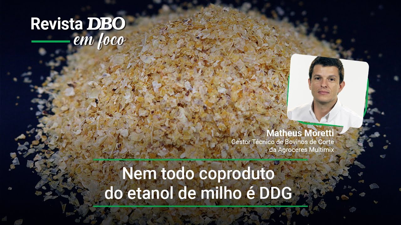 Nem todo coproduto do etanol de milho é DDG