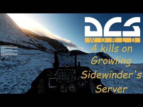 I tried DCS multiplayer on Growling Sidewinder's Server