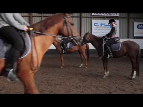 Hippisch Centrum Simonshaven