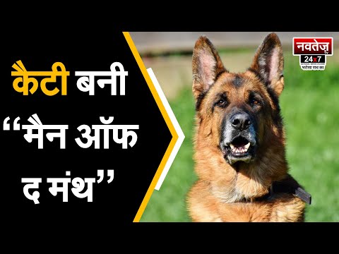 Uttarakhand Police की शान Kattie ने महज़ 30 Sec.में खोला murder का राज  #uttarakhand #germanshepherd