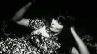 Zwartjes - Birds [1968]