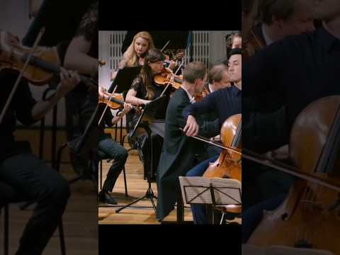 Beethoven Triple Concerto Manon Galy, Kacper Nowak, Mara Dobresco, S.Menezes, Wiener KammerOrchester