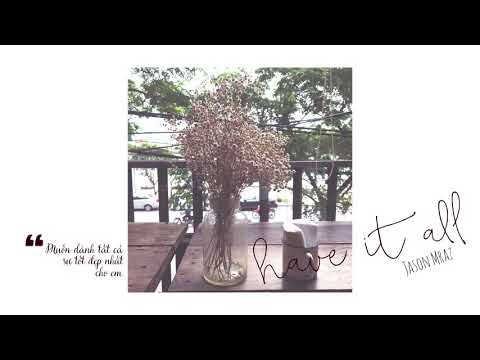 [Vietsub] Have It All - Jason Mraz