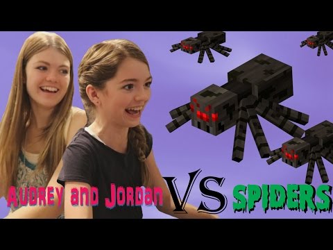 Minecraft Spider Attack