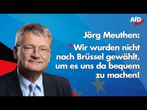EU-Wahl 2019 | Erste Reaktionen auf AfD-Ergebnis