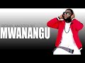 New Song Ali Kiba Ft Roma Nani Mwanangu Audio