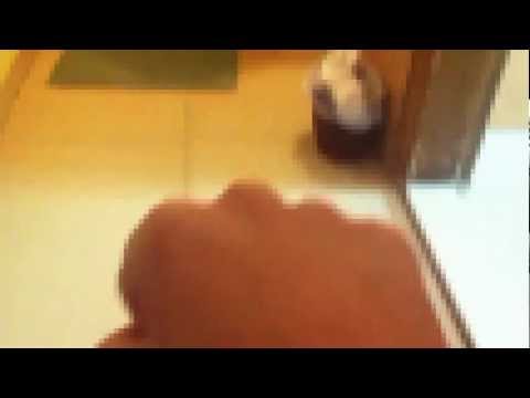 Minecraft herobrine hotel service