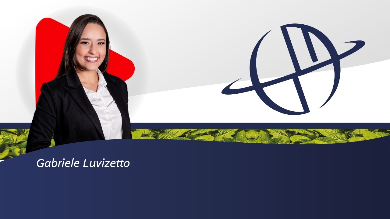 Optantes pelo Simples Nacional - Emissão da NFS-e por meio do Emissor Nacional