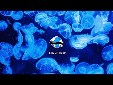 Danny Chen & Ryan Ellingson - The Unknown (Flite Remix)